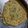 Shine Nimna का कुकस्नैप जब उन्होंने लच्छा मेथी पराठा(lachha methi paratha recipe in hindi) बनाया था।