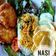 Cooksnap dari Ratih Pratiwi Mahmuri untuk resep Nasi bakar