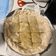 Cooksnap από Βασιλική Παραουλάκη στη συνταγή Πρασοκιμαδόπιτα