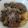 Tony Rowan's cooksnap of when they made Stir-fried Beef & Broccoli with Oyster Sauce.