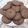 کوک اسنپ Shaghayegh1383♡ بعد از امتحان کردن کوکی با مغز گردو و شکلات کنار چای (Walnut Chocolate Cookie).
