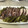 El cooksnap de Mónica cuando hizo Lomo de cerdo adobado al horno con verduras salteadas.