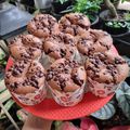 Cooksnap dari tikaphiko untuk resep Triple Choco Chiffon (Chiffon Coklat)