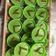 Cooksnap dari Deeta Pohan untuk resep Srikaya Pandan khas Palembang