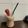 El cooksnap de Samantha Schifer cuando hizo Licuado de banana y frutilla con leche.