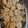 El cooksnap de Hilda de Hernández cuando hizo Scones de queso 🧀.