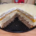 Tamás Bertalan Cooksnap-ja, amikor elkészítette a(z) Barack mousse torta kókusszal receptet.