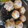 El cooksnap de Tamara Fernández cuando hizo Muffins de zanahoria y chía con glaseado de limón.