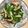 Janice 的 甜不辣炒韭菜花 cooksnap