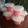 Cooksnap dari Nina Daryanti untuk resep Strawberry Pudding with Vanila Vla