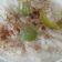 El cooksnap de Berenice Jasso cuando hizo Arroz con leche hondureño.
