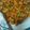 Simpal Goyal's cooksnap of when they made Matra chat.