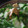 Cooksnap dari Beby Rosvarini untuk resep Sayur Bening Oyong Tahu