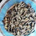 El cooksnap de sergio sennerin cuando hizo "Pipas" caseras (semillas de girasol saladas).