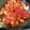 Cooksnap dari Vena Utami untuk resep Balado Tahu Telur Puyuh Ekonomis