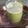 Dr. Pushpa Dixit's cooksnap of when they made Neem and jaggery sharbat.