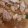 Cooksnap dari Pramusinta K untuk resep Soto kudus bumbu instan Delisaos
