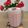 Cooksnap dari Yelvi Levani untuk resep Smoothie Buah Naga Oatmeal