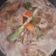 Cooksnap dari Mizz Anni untuk resep MPASI: Kaldu Udang Homemade