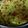 El cooksnap de Mery cuando hizo Mijo con verduras. Ideas de lunch {FitKen} .