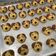 Cooksnap dari Fitrie Handayani untuk resep Doggie Cookies