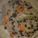El cooksnap de Ely Ortigoza Esteche cuando hizo Guiso de porotos negros, arroz integral y cerdo. Apto #DMA#F1.