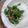 El cooksnap de Lia Lopez cuando hizo Ensalada de arúgula.