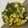 El cooksnap de Noelia López cuando hizo Ensaladilla de patatas y judías verdes.