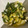 El cooksnap de Noelia López cuando hizo Ensaladilla de patatas y judías verdes.