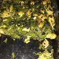 El cooksnap de Alejandra cuando hizo Torta de espinaca y pollo.