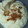 El cooksnap de Gelen Solanth Morelli cuando hizo Te enseño como hacer un delicioso ARROZ CONGRÍ CUBANO.