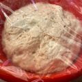🌈NinjaMommaKitchen🌈's cooksnap of when they made Pizza dough.