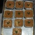 Cooksnap dari delly fairlenie untuk resep KUE SERIMUKA (KETAN SRIKAYA GULA MERAH)