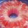 Cooksnap dari dewiingatan untuk resep Puding Susu Strawberry