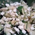 Emily's cooksnap of when they made Minty Zucchini Salad.
