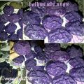 Cooksnap dari Veronica Caroline untuk resep Bolu kukus ubi ungu anti galau