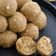 Smriti Saikia का कुकस्नैप जब उन्होंने आटे के लड्डू (atte ke ladoo recipe in Hindi) बनाया था।