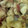 El cooksnap de Gricel cuando hizo Patatas de la Toscana.