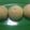 Cooksnap dari Nur Wadianto untuk resep Bakpao Labu Kuning Empuk tanpa obat"an