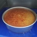 El cooksnap de ednarocio1 cuando hizo Flan de piña.