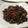 Cooksnap dari Fitri untuk resep Kerang pedas kering Simple