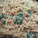 Cooksnap dari Laurin Olin untuk resep Bihun Goreng
