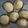 Cooksnap dari Toeti Doeloe untuk resep Bakpao simple lembut