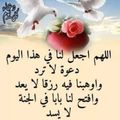 صورة من ام سراج، شاركها بعد تجربة وصفة كبه رمثاويه او كباب