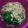 Cooksnap dari Novimgfr untuk resep Soyu Ramen