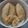 Cooksnap dari bundathiya untuk resep Cireng isi ayam suwir
