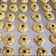 Cooksnap dari Jezzyta Gala untuk resep Kue semprit dahlia
