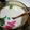 Cooksnap nor ikeen semasa beliau membuat Bubur Butir Nangka.