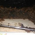 El cooksnap de Antonio Escandon cuando hizo Brownie económico y fácil.