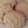 El cooksnap de Cecy Aceves cuando hizo Galletas de Avena.